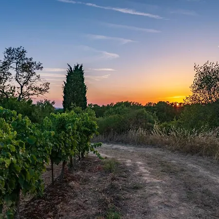 Cerise Sud Отель Каркассон