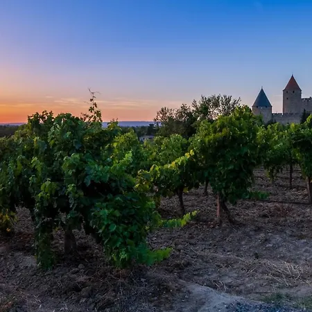 Cerise Sud 3* Каркассон