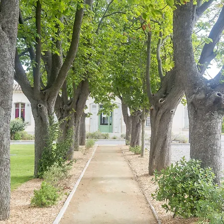 Cerise Sud Каркассон