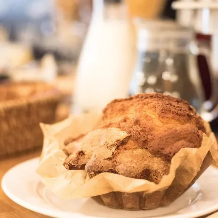 Cerise Sud Каркассон