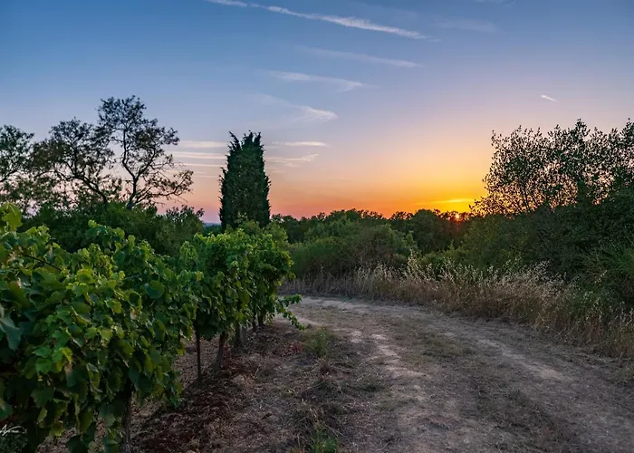 Cerise Sud Szálloda Carcassone