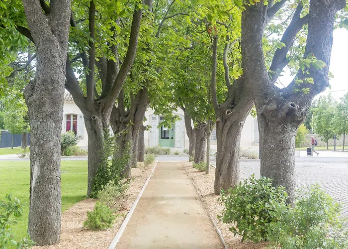 Cerise Sud Carcassonne